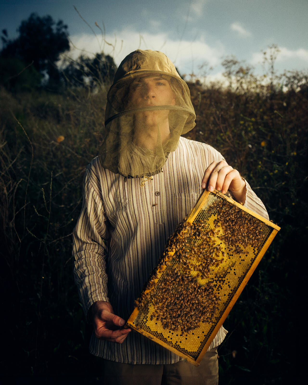 Sam Marino in a bee veil holding a honeycomb frame with rescued bees during a humane relocation